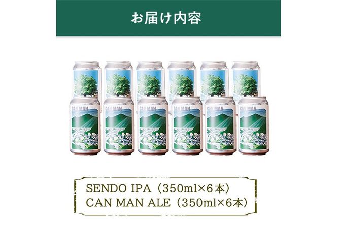 Orang Craft Brewery クラフトビール (12本セット)  ビール 地ビール ご当地 酒 パーティー アルコール 家飲み 晩酌 お試し 飲み比べ 銘柄 IPA ブルワリー ブリュワリー 大分県 佐伯市 【JM03】【尺間嶽麦酒】