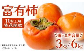 《 選べる 内容量 》富有柿 約3kg / 約6kg【2026年10月上旬発送開始】(茨城県共通返礼品：大子町) 柿 カキ かき 果物 フルーツ 旬 季節限定 期間限定