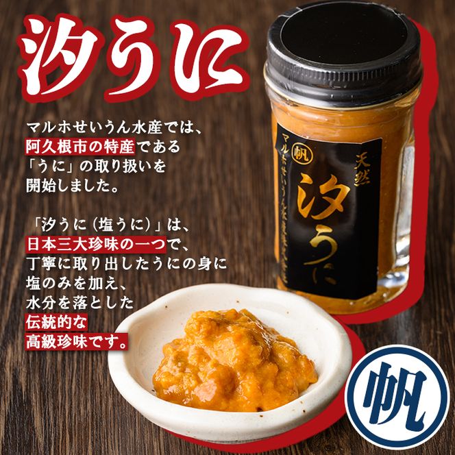 日本三大珍味！汐うに(50g×2本) 阿久根市 魚介 海産物 塩うに 雲丹 うに ウニ 高級珍味 おつまみ おかず ごはんのお供 海鮮丼 冷蔵配送 数量限定 【マルホせいうん水産】akn046-06