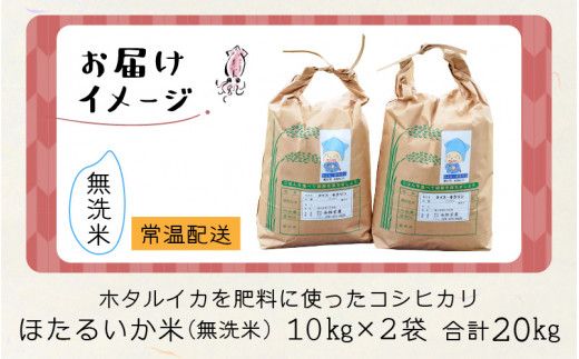 【訳あり】ほたるいか米（無洗米20kg）【通年発送】