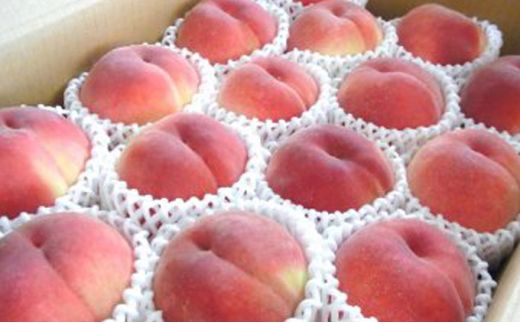 国見町産 桃 特秀 5kg箱（13～18玉） | 果物 フルーツ 品種 おまかせ ※2026年8月～発送
