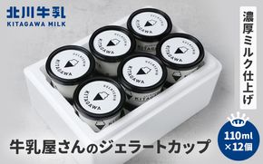 牛乳屋さんのジェラート カップ12個セット kggn0001
