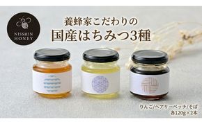 養蜂家のとっておき 国産 はちみつ 3種 食べ比べ 各120g×2本 計6本 蜂蜜 ハチミツ りんご ヘアリーベッチ そば ハニー 養蜂 養蜂家 蜜源 ギフト 贈答用 お取り寄せ 日新蜂蜜 送料無料 岐阜県 安八町