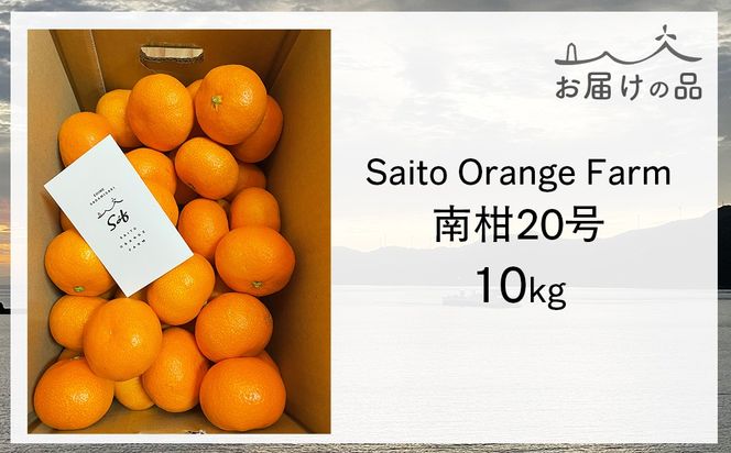 【先行予約】Saito Orange Farmの南柑20号10kg（2026年12月下旬頃より順次発送予定） IKTAQ019