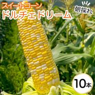 朝採れ とうもろこし 10本 スイートコーン ドルチェドリーム 甘い 早朝収穫〈アグリにのうみ〉京都 亀岡 農家直送 2026年産 予約 来季お届け ※北海道・沖縄・離島への配送不可 ※2026年6月中旬頃～7月中旬頃に順次発送予定