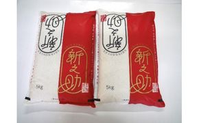 【令和7年産米】新潟県村上市 岩船産 新之助 10kg 1029012