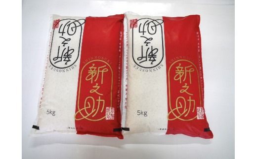 【令和7年産米】新潟県村上市 岩船産 新之助 10kg 1029012