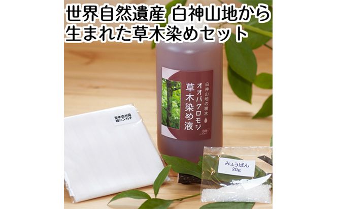 世界自然遺産白神山地から生まれた草木染めセット 雑貨 日用品 ファッション小物 