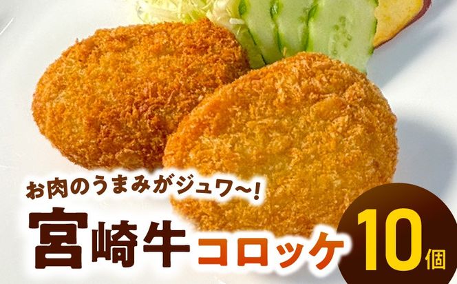 y{茧sz֗Ȍ{苍RbP70g×10 N124-YA671