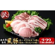 訳あり！鹿児島県産黒豚ロースとんかつ用・肩ロースとんてき用セット＜計2.22kg＞ a9-026