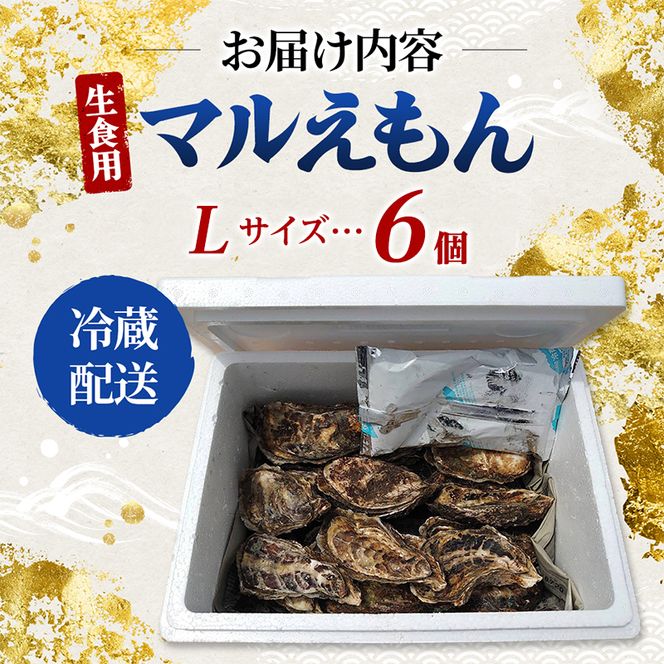 牡蠣 厚岸のブランド牡蠣 マルえもん Lサイズ 6個 生食用 魚貝類 海鮮 海のミルク 国産 生食用殻付き牡蠣 まろやか クリーミー 食べやすい品種 海の香り 牡蠣の酒蒸し 焼き牡蠣 マルえもん