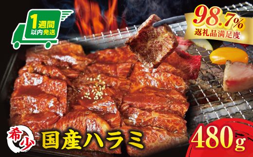 【1週間以内発送】希少　和牛入国産牛　ハラミ480g　秘伝の自家製タレ漬け【FO22W】