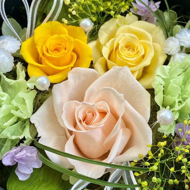 プリザーブドフラワー　レンツ　春日部市　シュガーパイン(AJ241)