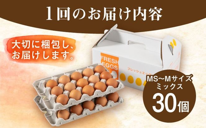 【全12回定期便】【30個×12ヶ月】黄身にコク！白身に甘み！てつやとのりこの玉子 板垣ファーム [AWD010]