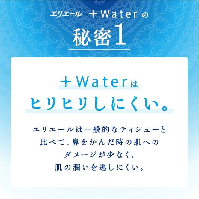 エリエール ＋Water ポケットティシュー 14P×16パック 計224P 最短 10日以内配送 最短配送 ティッシュ まとめ買い ペーパー 紙 防災 常備品 備蓄品 消耗品 備蓄 日用品 生活必需品 送料無料 北海道 赤平市