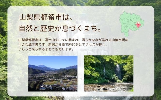 都留市エコハウスで移住体験　宿泊券(1名様）1枚　CM017