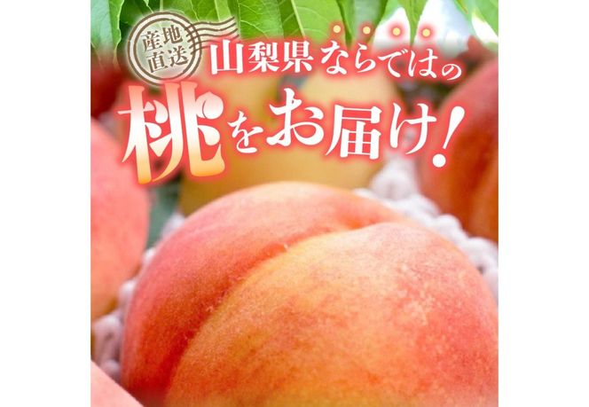 【2025年先行予約】山梨の朝どれ桃 【単品 定期便 が選べる】 もも 山梨県産桃 果物 くだもの 果物 フルーツ 山梨 富士吉田