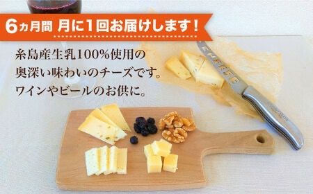 【全6回定期便】糸島産 生乳 100％ 使用 手作り 熟成 チーズ 食べ比べ セット 糸島市 / 糸島ナチュラルチーズ製造所TAK-タック- [AYC012]