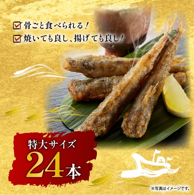丸干し特大めひかり　24本（約650ｇ前後 ）【めひかり メヒカリ 特大 魚 海産物 茨城県 北茨城市 冷凍】（DM003）