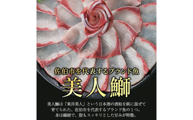 大分県産 美人鰤 フィレ (2枚・1枚あたり1.5kg以上) 鰤 ブリ フィーレ 半身 鮮魚 冷蔵 養殖 国産 大分県 佐伯市【GO018】【水元】
