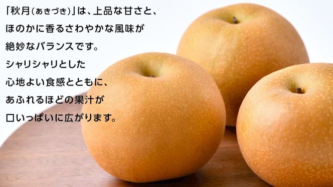 ＼ 選べる内容量 ／ あきづき 梨 3kg （6～8玉）/ 5kg（8～12玉）/ 10kg （18～24玉）【2026年10月より発送開始】（茨城県共通返礼品 [梨]：大子町産） なし 旬 お取り寄せ フルーツ 甘い ジューシー 和梨 時期 秋月
