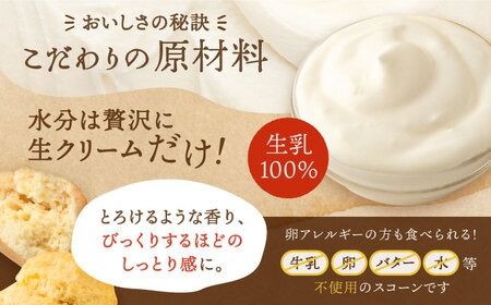 スコーン の イメージ が変わる！ 定番 スコーン 12個セット 糸島市 / キナフク 焼き菓子 焼菓子 洋菓子 スイーツ パン [AFA001] ランキング 上位 人気 おすすめ