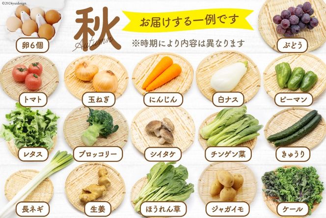 BA025 野菜・フルーツ・卵 旬のおまかせセット （野菜・フルーツ