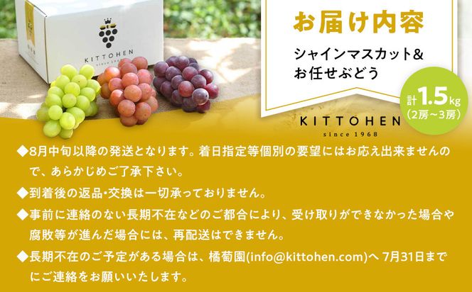 【2026年発送】シャインマスカット＋お任せぶどう 約1.5kg（2～3房） 232238_SS006