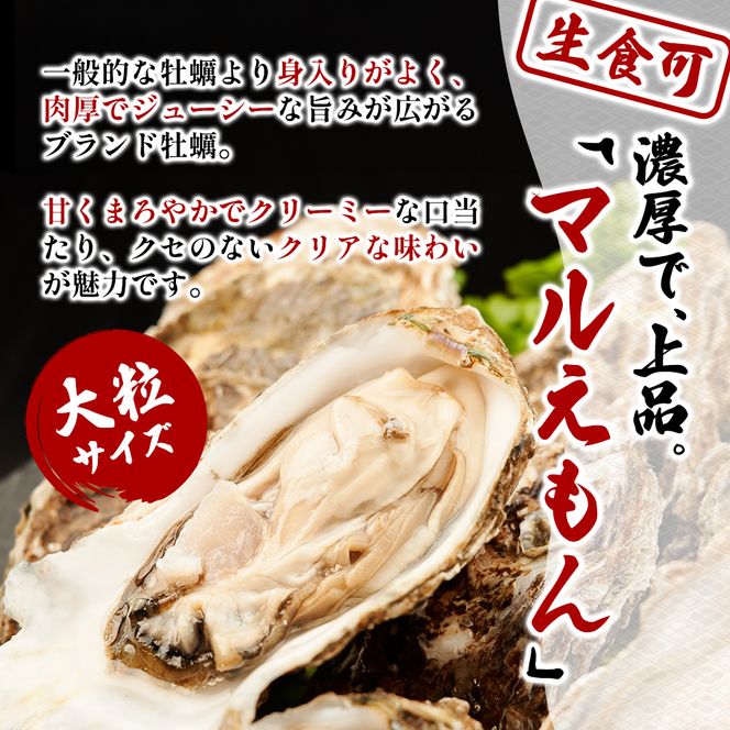 北海道 厚岸産 砂抜き済み あさり 4kg ＆ ブランド牡蠣 マルえもん 殻付き LLサイズ 20個 【光輝】 [ 魚貝類 海鮮 海の幸 みそ汁 酒蒸し アサリバタ 産地直送 生食用牡蠣 生食用 牡蠣 カキ ］
