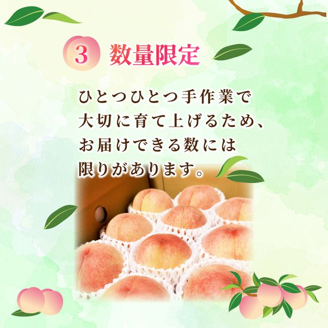 【先行予約・数量限定】大子町産「桃」約2kg 品種おまかせ（あかつき・まどか・美郷 等）｜茨城県 大子町 令和8年産 もも モモ フルーツ 果物 おまかせ 詰め合わせ 産地直送 旬 人気 厳選 奥久慈りんご園（AI007）