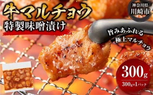 牛マルチョウ 味噌漬け 300g とろける脂 小分け 使いやすい 味付き 調理便利 野菜炒め ホルモン炒め 訳あり 不揃い 小腸 冷凍 配送時期が選べる 個包装 冷凍保存 アウトドア キャンプ おすすめ 人気