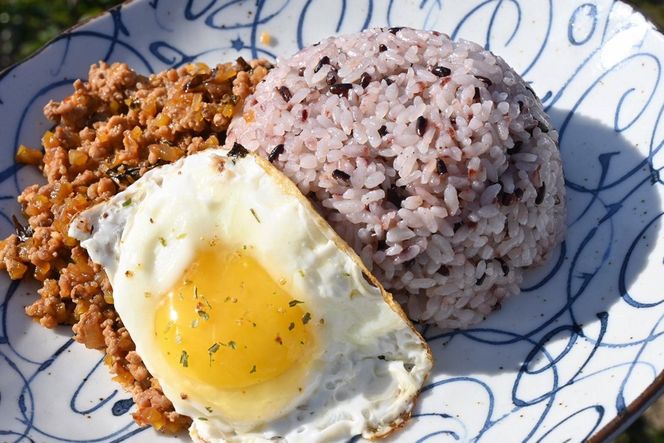 【先行予約】令和8年産　古代米黒米3袋セット 黒米 自然栽培 栽培期間中 健康食 エスニック カレー 健康 栄養 雑穀 900g 小分け 300g × 3袋 雑穀米 ふるさと納税 赤米 玄米  雑穀米　数量限定　YF00010