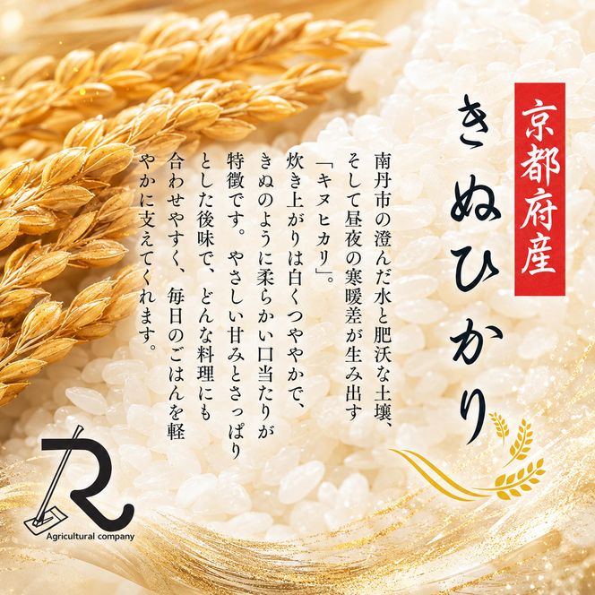 令和7年産 キヌヒカリ 10kg  京都丹波産 良心米 米 白米 ごはん