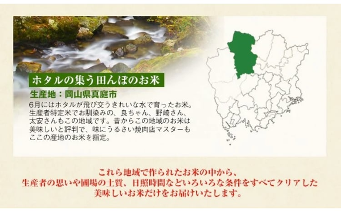 令和7年産 真庭市産きぬむすめ 無洗米 10kg / お米 国産 岡山県 米 人気 ブランド 2025年産 【tkns008-01-cho】