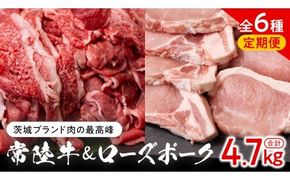 【 茨城ブランド肉の最高峰 】ローズポーク ＆ 常陸牛 贅沢 定期便 ( 全6種 ) ブランド豚 銘柄豚 豚肉 豚 肉 お肉 にく ロース 生姜焼き しゃぶしゃぶ 焼肉 バーベキュー 厚切り とんかつ ポークソテー トンテキ  牛肉 和牛 ギフト 贈答 贈り物 国産 茨城県産 茨城県共通返礼品 [AE083ci]