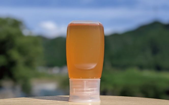合計300g 天然蜂蜜 国産蜂蜜 非加熱 生はちみつ 岐阜県 美濃市産 春 (蜂蜜300g入りピタッとボトル1本)A9 深田養蜂のハチミツ
