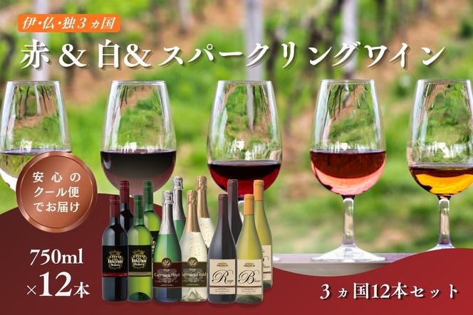 【E-109】W105 伊・仏・独 12本セット