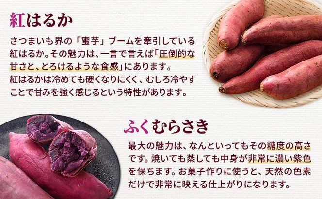 さつまいも 約5kg 2種詰合せ 紅はるか ふくむらさき サツマイモ 宮城県産 甘い 秋 冬 スイーツ 産地直送 宮城県 大河原町