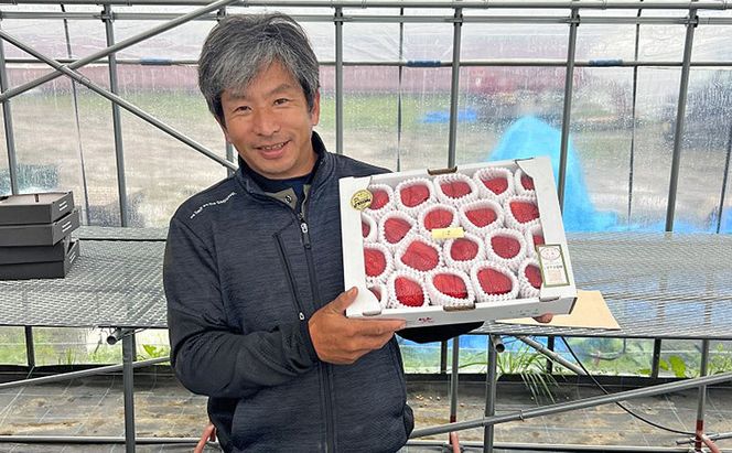 いちご 朝倉市産 あまおう 3L 12～15玉 イチゴ 苺 果物 デザート ※配送不可：離島