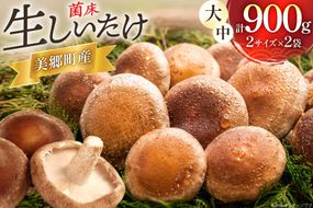 生しいたけ セット 約300g× 2袋 約150g× 2袋 計4袋 約900g [杉本きのこ園 宮崎県 美郷町 31bs0001] 菌床 椎茸 しいたけ シイタケ きのこ キノコ お鍋 天ぷら 炒め物 おかず