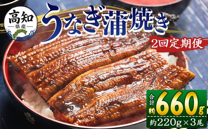うなぎ 定期便 国産 2回 約220g 3尾 蒲焼き 高知県産 養殖 魚介 国産 海鮮 魚 かばやき 鰻 ウナギ 惣菜 おかず お手軽 加工品 加工食品 冷凍 Wfb-0065