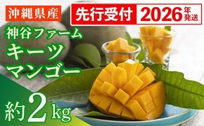 【先行受付】【2026年発送】神谷ファームのキーツマンゴー 約2kg - 先行予約 沖縄県産 産地直送 南国フルーツ 旬の味覚 季節の果物 希少種 贈り物 ギフト 沖縄県 八重瀬町
