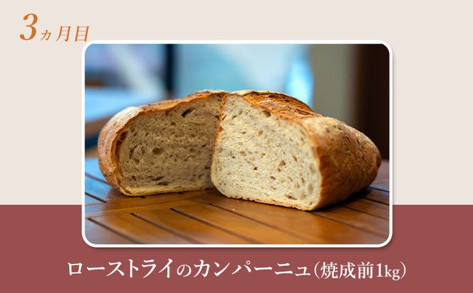 【 定期便 4ヵ月 】本場欧州のハード系パン 4種類 80%ライ麦パンと特製カンパーニュ 焼成前計3.9kg パン ライ麦パン カンパーニュ ハード系パン 冷凍