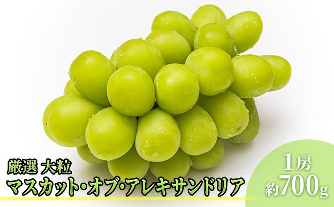 【2026年先行予約】 桃 ぶどう 晴れの国 岡山の恵みギュギュッ！ ～桃もぶどうも楽しむプラン～ ( 白桃 ・ アレキサンドリア ）《2026年6月下旬-7月下旬頃出荷》 もも モモ 葡萄 ブドウ 里庄町 数量限定