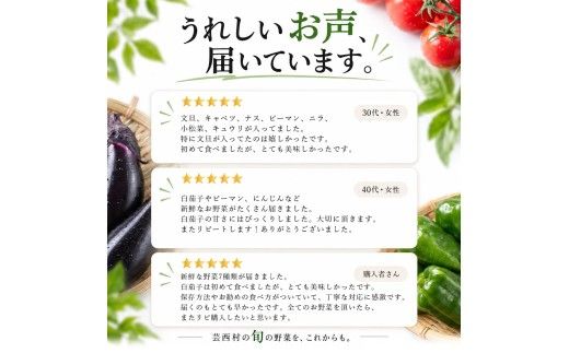 朝どれ！野菜の詰合せ 3ヶ月定期便 芸西村で採れた新鮮な野菜6～8種類をお届けします。 野菜 野菜詰め合わせ 野菜セット 詰め合わせ ナス ピーマン 