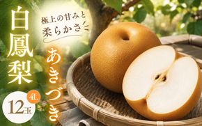 白鳳梨(あきづき)4L 12玉 ※お届けは9月上旬から9月中旬頃の予定です【hkns0002】