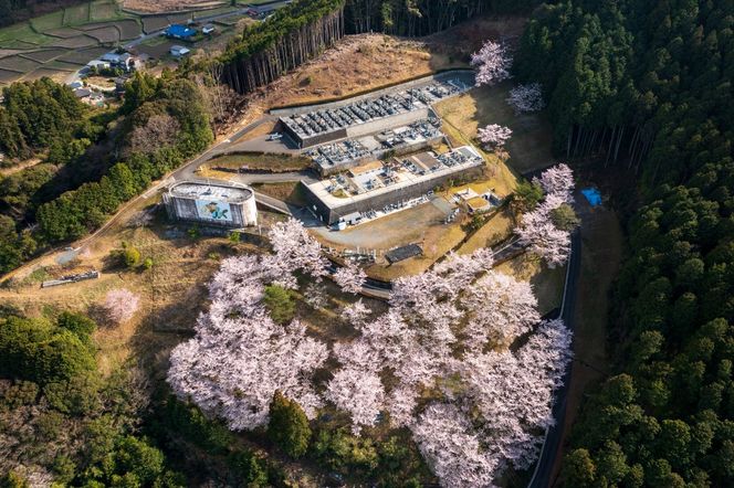 【四国初の樹木葬】奈良山霊苑 樹木葬（お一人様）第一期　普通区画【永代供養 樹木葬 墓じまい 合祀 納骨 お墓 供養 愛媛県 鬼北町 山下石材】