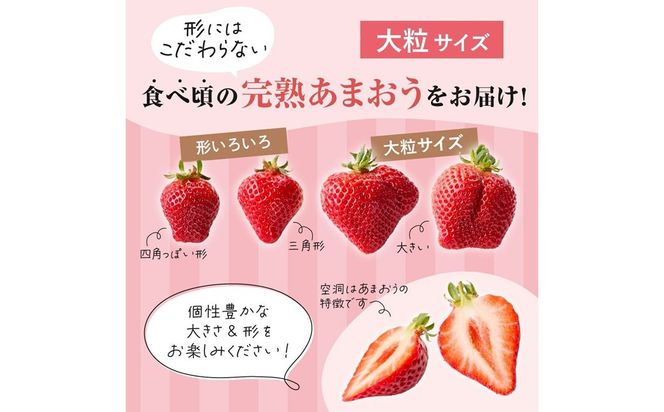 【先行予約】オーガニックあまおう 「いせいちご」 おまかせ4パック（大粒）【伊世いちご畑】_HA1019