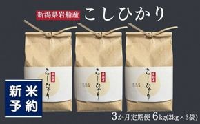 【新米受付・令和8年産米】【定期便：3ヶ月お届け】】新潟県村上市　岩船産コシヒカリ6kg（2kg×３袋）×3ヶ月　合計18kg　1103002N