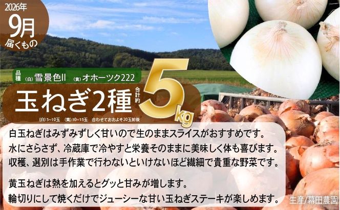 【2026年発送】全3回 富良野 専門農家が選ぶ 旬の贅沢定期便 北海道 富良野市 老節布 野菜 ミニトマト とうもろこし スイートコーン 玉ねぎ たまねぎ 玉葱 白玉ねぎ 甘い
